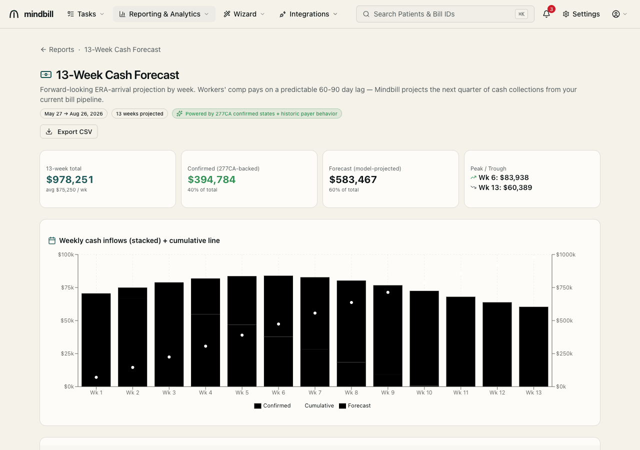 Step 2 — Read the 13-week cash forecast